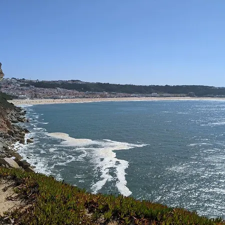 Rural Retreat - Quinta Sol 3 Bedroom House - Nazare, Portugal Дом отдыха Casal do Mota