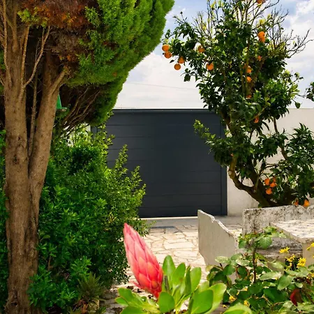 Rural Retreat - Quinta Sol 3 Bedroom House - Nazare, Portugal